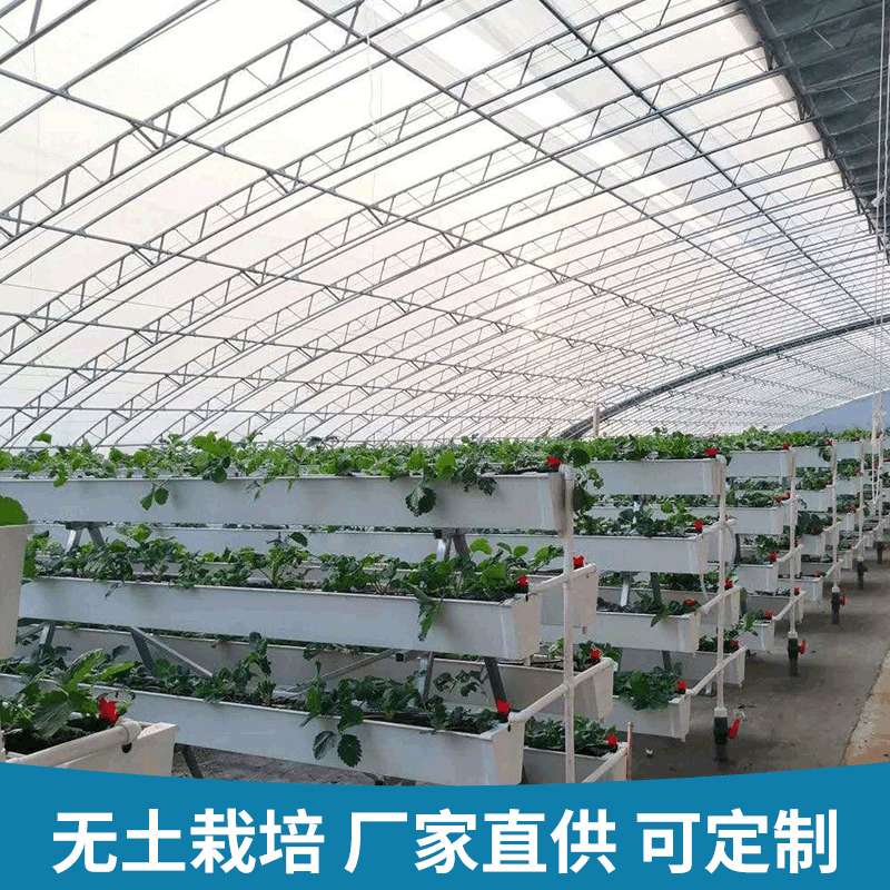 温室无土栽培 无土栽培配套设计安装厂家 无土栽培西红柿鲜花蔬菜