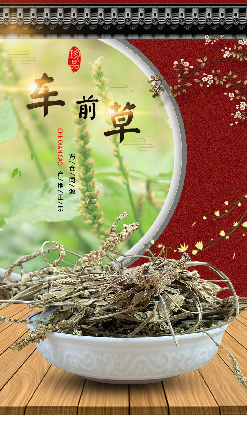 Dried Plantain Herb Che Qian Cao Whole Plant Loose Herbal Tea 500g overview