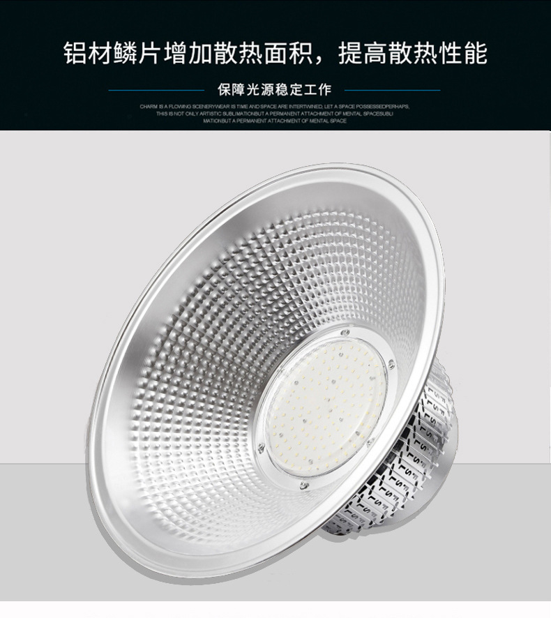 xin1_13.jpg