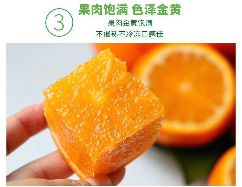 7 - 副本.jpg