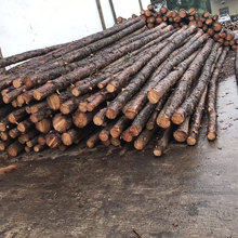 支柱木 支柱木批發 促銷價格 產地貨源 阿里巴巴