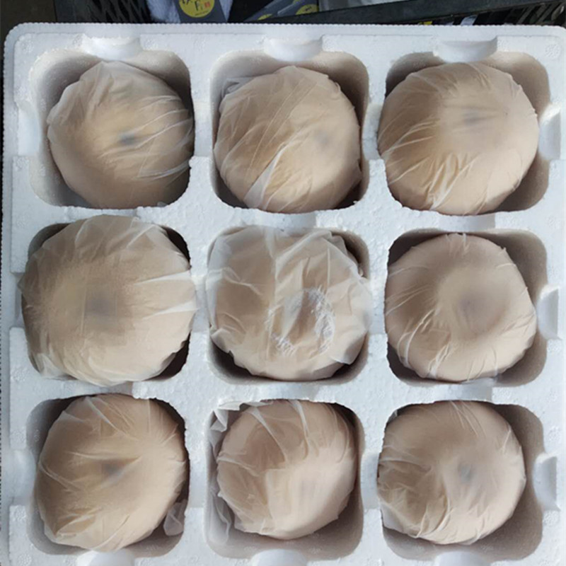 d10db29a9340ab5f2fe66b35995b14