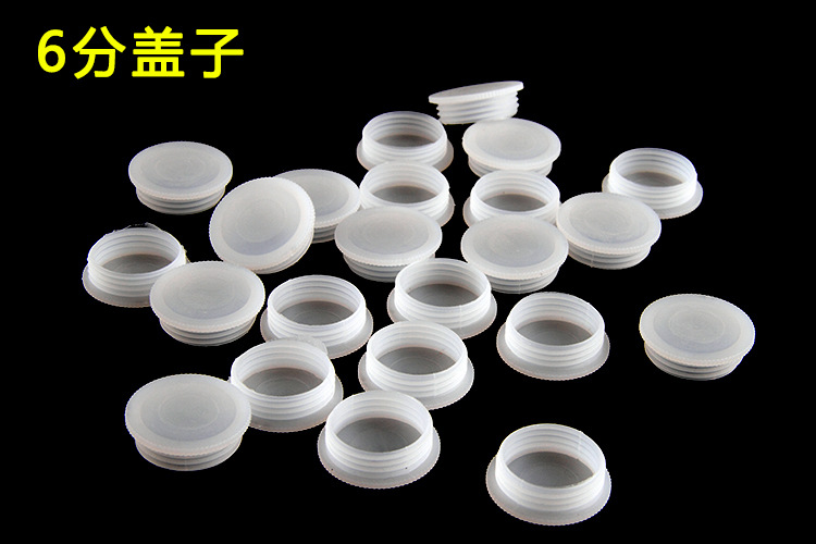 6分盖子.jpg
