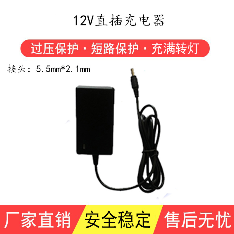 12V直插充电器0