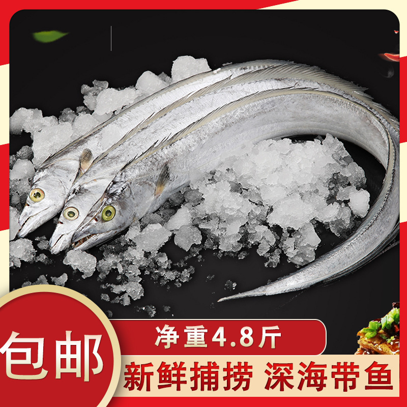整条带鱼 速冻带鱼段新鲜带鱼水产海鲜小眼带鱼批发零售  包邮