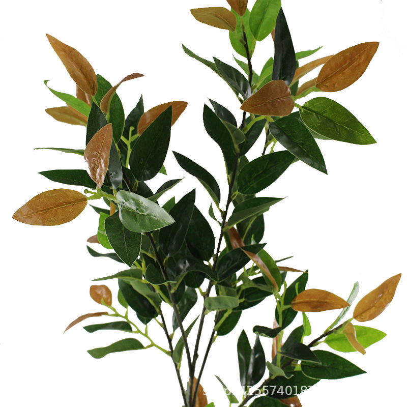 XRB-059红叶五叉枝141叶 (6)