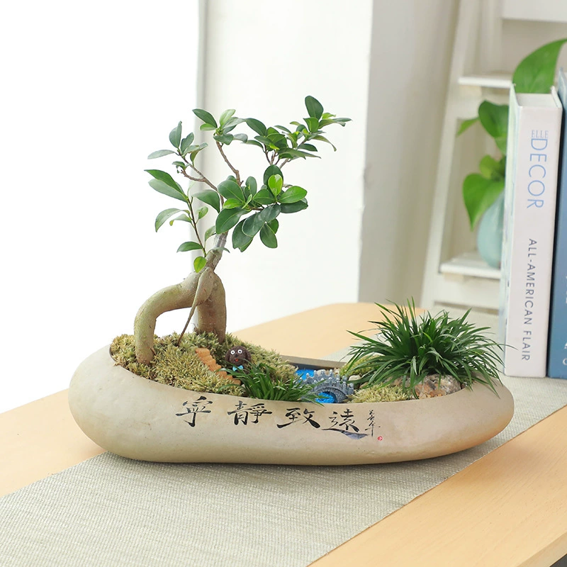 Большой керамический цветочный горшок для денежного дерева, маленького баньяна, каменный горшок, персонализированный горшок для бонсай, креативный цветочный горшок из грубой керамики для домашних растений