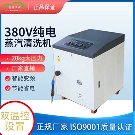 蒸汽清洗机;其他清洗设备;清洗设备配件