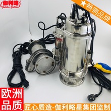 单相潜水泵的价格 抽水水泵价格 不锈钢潜水泵厂家 湘