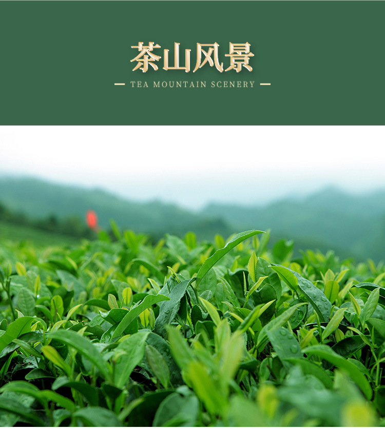 茶梗详情 (10)