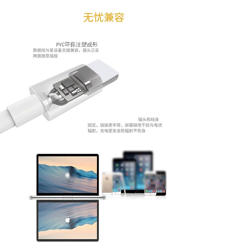 详情01.jpg