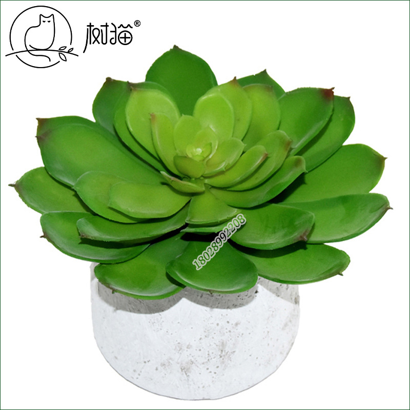 仿真大型多肉植物特大牡丹莲仿真花植物盆栽绿植植物墙插花装饰 阿里巴巴
