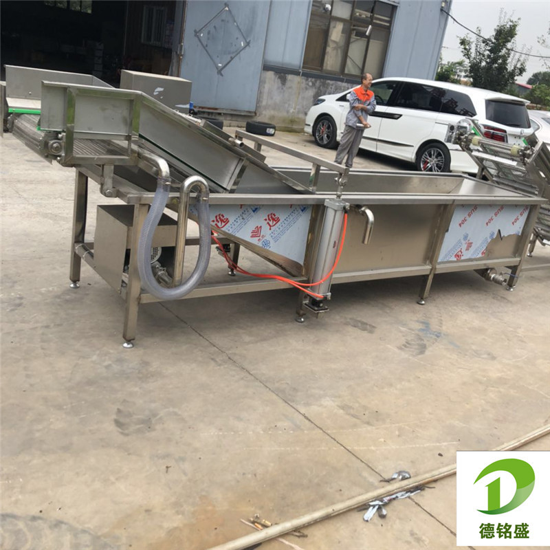 酱菜藕片藕条气泡清洗机生产线 杏鲍菇菌类清洗设备 芹菜清洗机