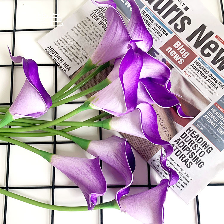 QQ图片20200617125640