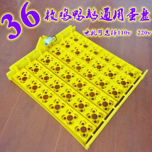 �������ϵ��P ������48ö����늙C�u���Z����24ö���CС�ͷ����C