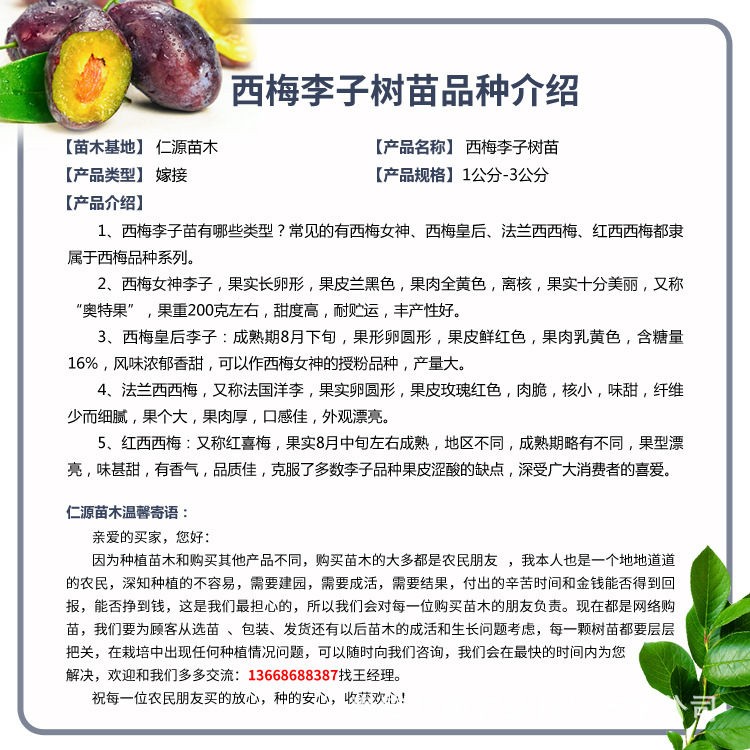 1b859743a2c8e172c880408b62e3b4