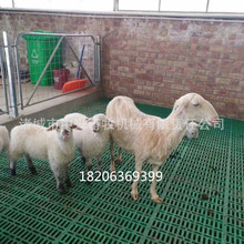 ���ΰ��b������S����䁰尲�b�r��������|��