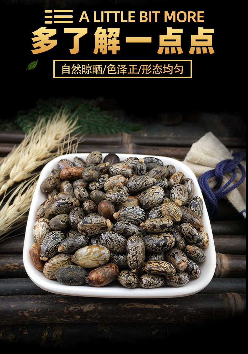 Castor Seeds Bi Ma Zi Dried Ricinus Communis Bulk Herbal Seeds 500g key features