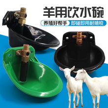 羊用饮水碗自动饮水器羊用饮水碗铸铁铜阀羊用饮水碗加厚厂家销售