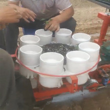 蔬果苗木移栽机 钵体植物苗自动栽种机 拖拉机后置式栽种移栽设备