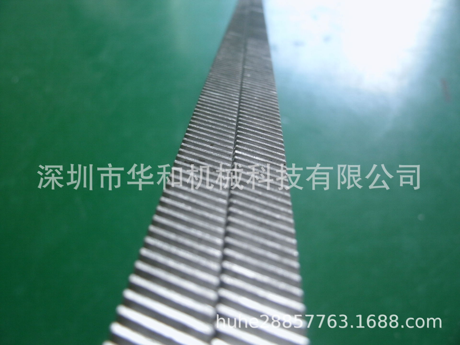 GEDC5591