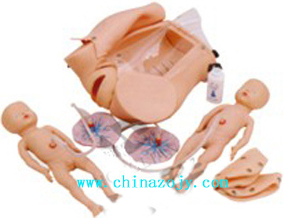 F52型 高级分娩机制示教模型,妇婴技能训练模型,人体解剖教学模型