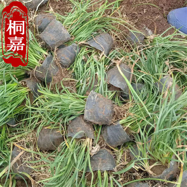 ΢��ͼƬ_202003091450412