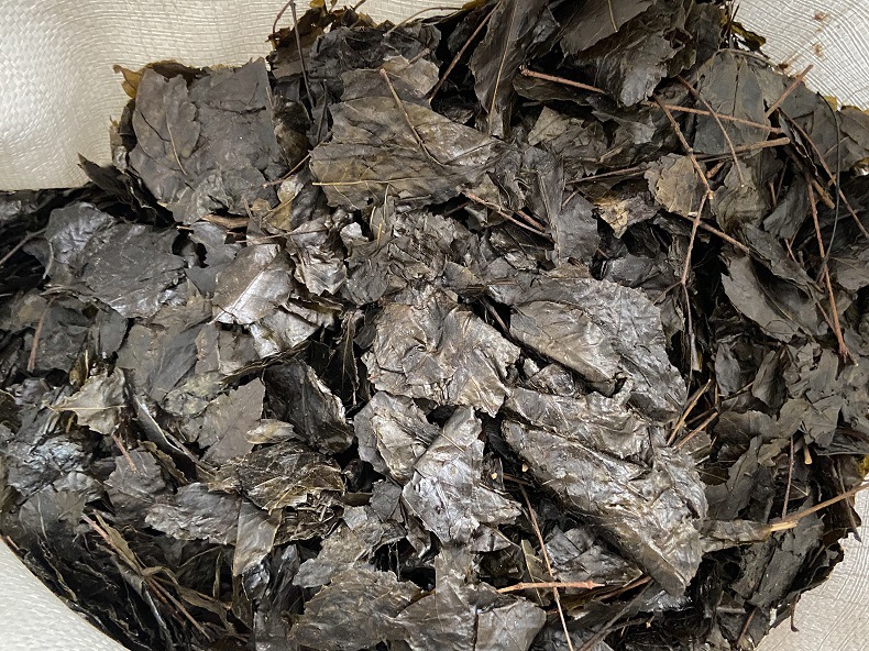 Ku Ding Tea Loose Leaf 500g Bitter Tea Ilex Kudingcha Traditional Herbal Drink preparation