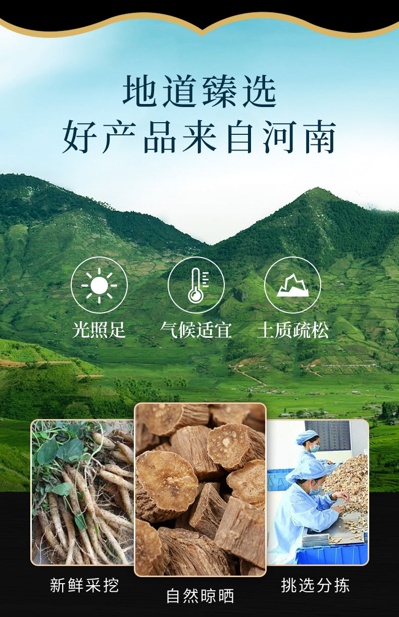 Niu Xi (Achyranthes bidentata) Dried Root — Huai Niu Xi & Chuan Niu Xi Herbal Decoction Pieces overview