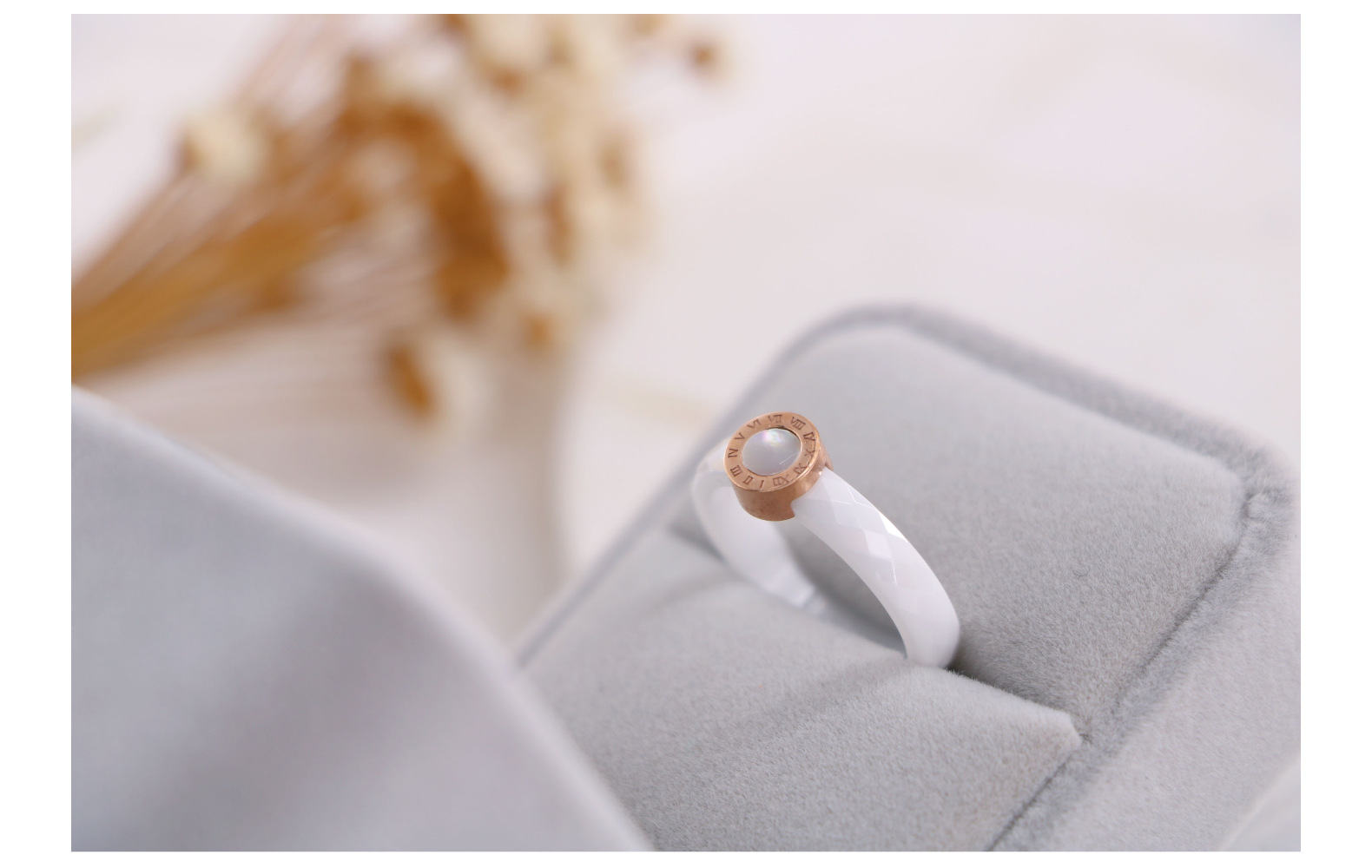 Wholesale Simple Style Round Titanium Steel Ceramics Shell Rings display picture 2