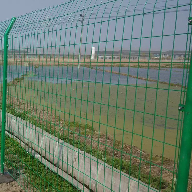 Защитная сеть для оврагоцеля плодового участка Zhengzhou Orchard Land Circle Wing Barn Iron Silk Intra -Silk Weds Grid Expressway изоляция