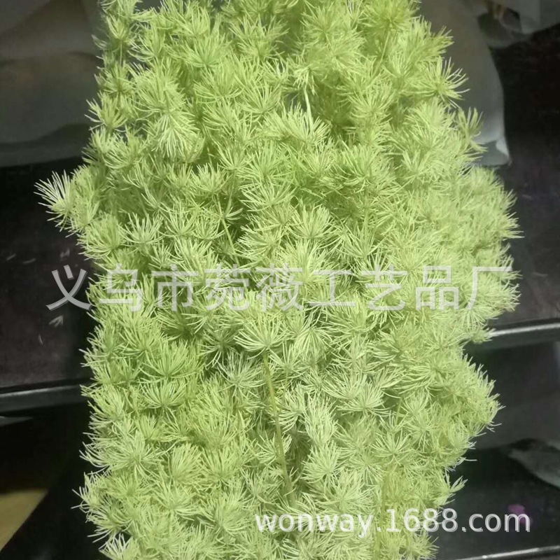 微信图片_20200607225555