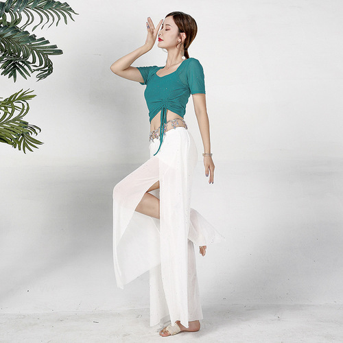 Baoguang Honghua Belly Dance Top New Sexy Mesh Oriental Dance Costume Women's Practice Top Performance Costume Summer