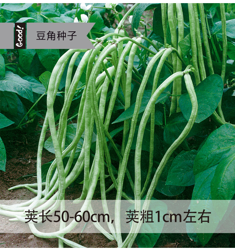 无名