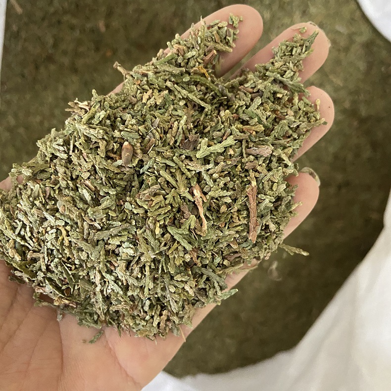 Dried Platycladus Leaf Powder Ce Bai Ye 侧柏叶 Fine Herbal Powder 500g quality and texture