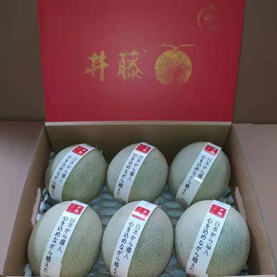 Shunfeng Gift box packaging Hainan Ice Cream Netted melons Season fresh Melon and fruit