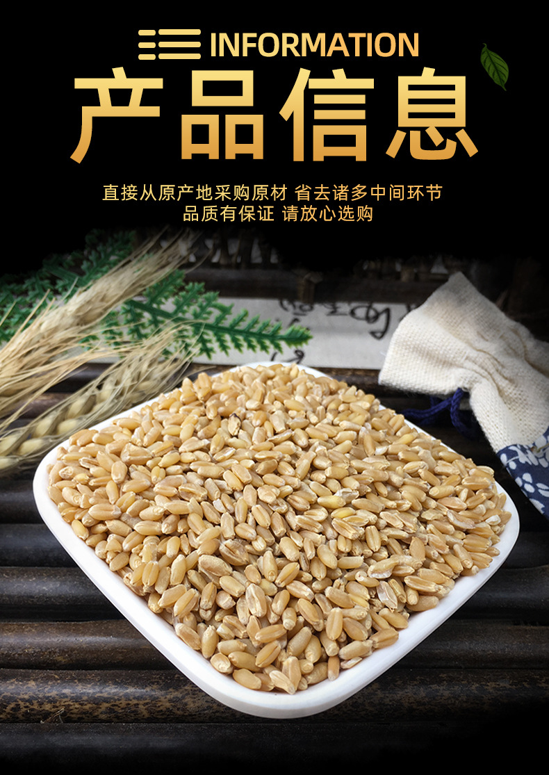 Fu Xiao Mai Dried Floating Wheat Bulk 1 jin 500g Huai Wheat Traditional TCM Herb specifications