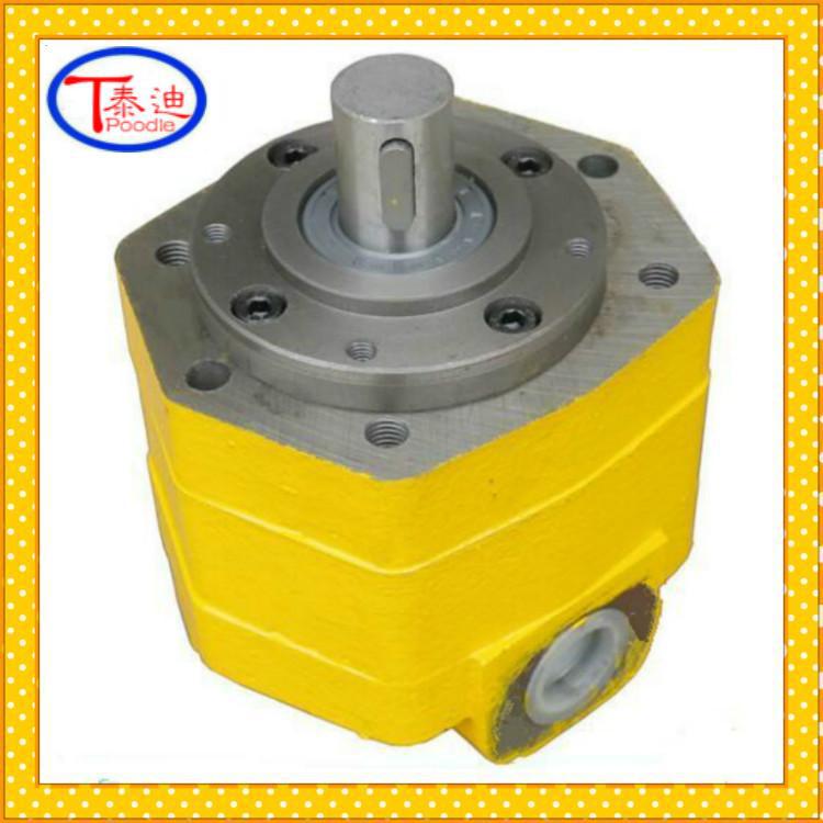 Shelf BB-BD25 cycloid Gear pumps BB-BD32 Cycloid pump Mesh Lubrication pump