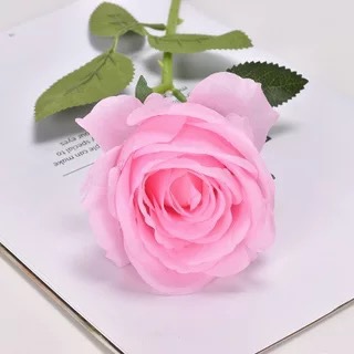 微信图片_20200801154926 - 副本