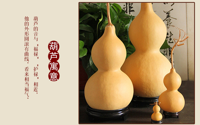 普通葫芦_07.jpg