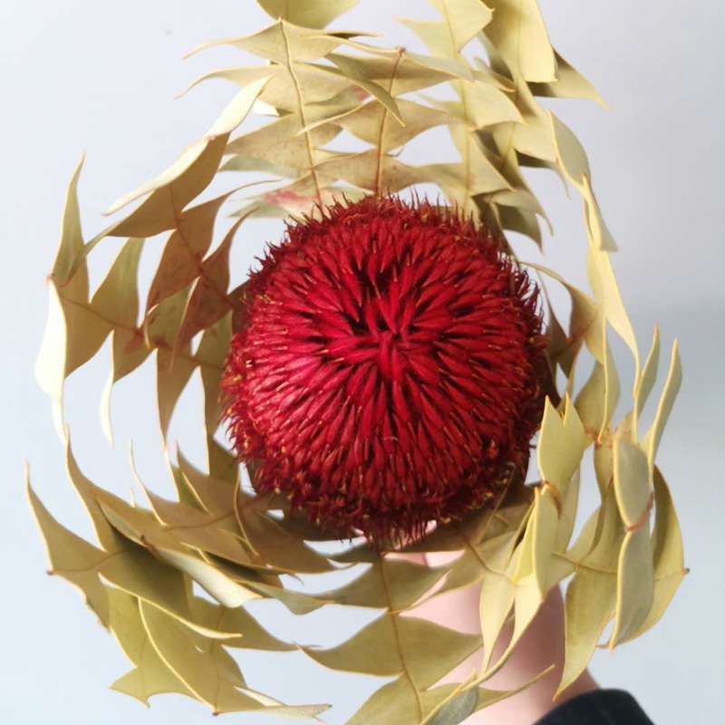 微信图片_20200426123702