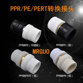 PPRPE转换接头PERTPB塑料材质202532405063大体小体铜不锈钢外贸