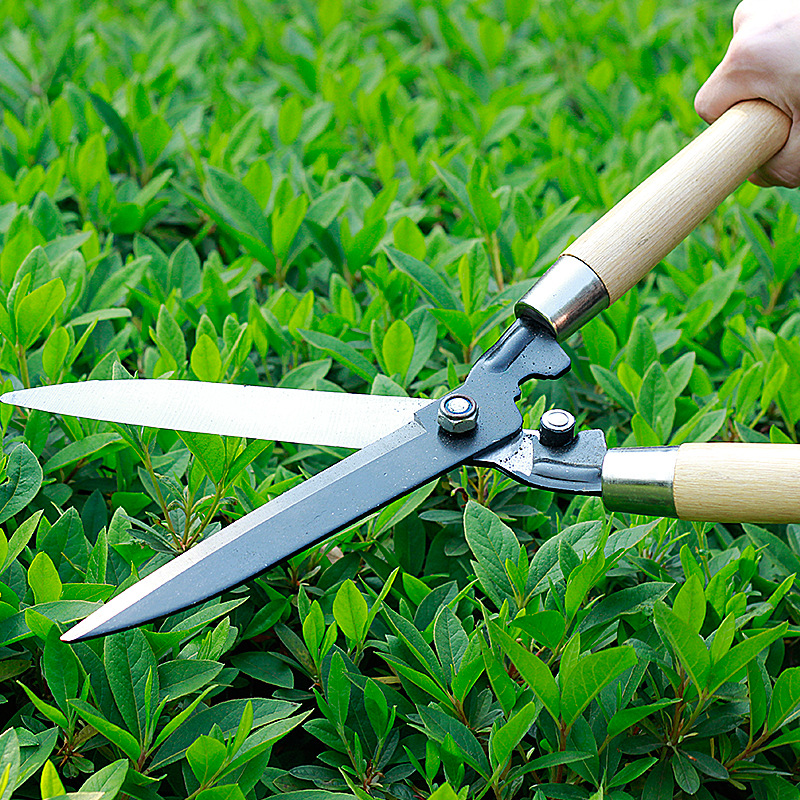 园艺剪刀家用园林大剪刀修剪草坪修剪花草修剪粗枝绿篱专用修枝剪