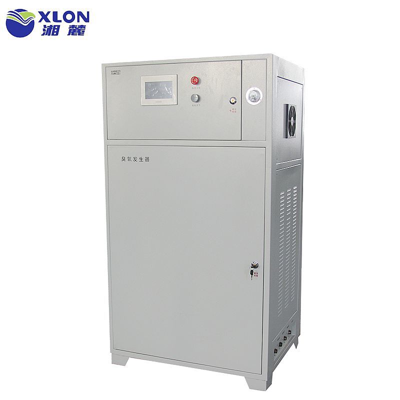 【厂家直销】供应气源一体式 600g高浓度臭氧发生器 湘麓环保设备