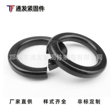 l ߏȏɉ| _ڏ| |Ȧ ɫ|Ƭ