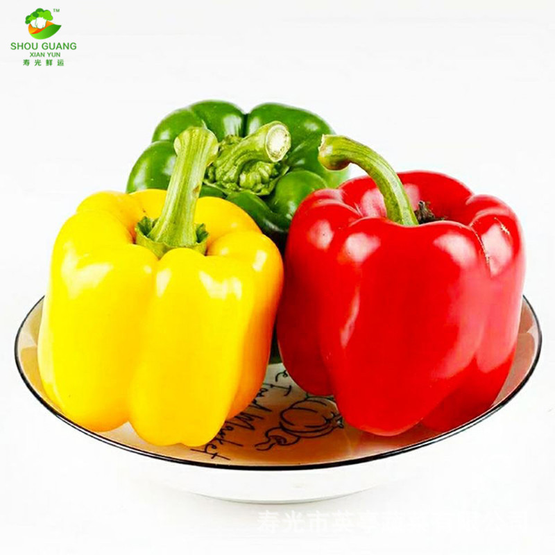 Shouguang Vegetables Pepper fresh Farm Colorful Sweet pepper Yuanjiao Large favorably