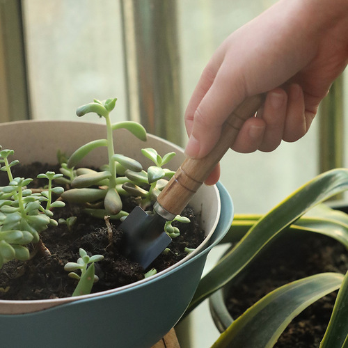 Garden three-piece set gardening shovel succulent plant potting shovel loose soil flower shovel set household flower planting small shovel