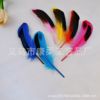 Factory direct selling natural wild duck feathers 10-15 cm Cuiyu handmade DIY jewelry catcher Korean version of Korean jewelry