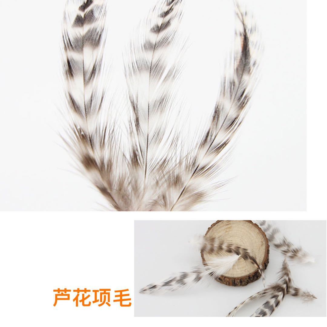 dd8cd86528a88519b7487bf27d4eb7