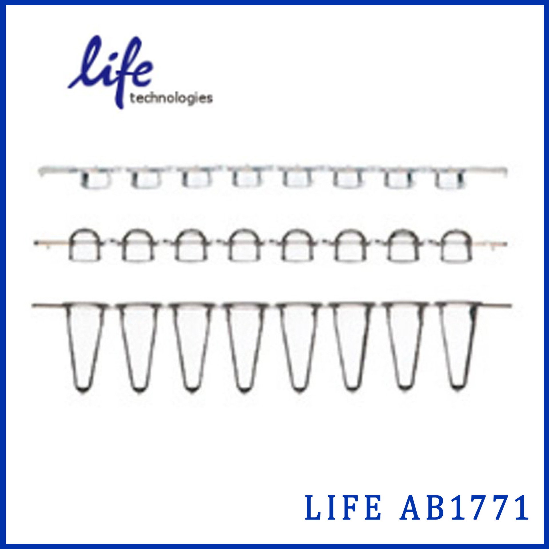 LIFE AB1771低位管定量PCR八连管，250排/盒